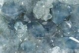 Sparkling Celestine (Celestite) Geode Section - Madagascar #364744-1